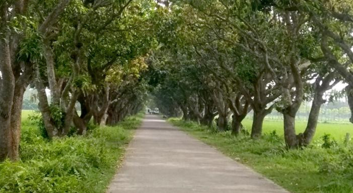 Botanical Garden BAU